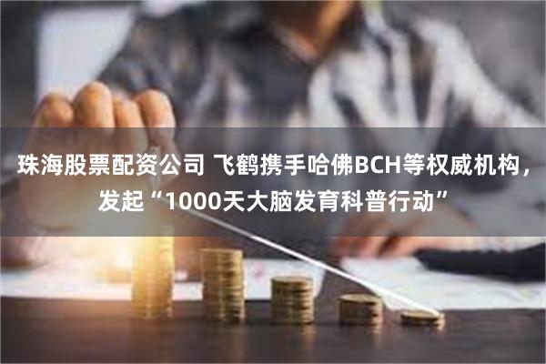 珠海股票配资公司 飞鹤携手哈佛BCH等权威机构，发起“1000天大脑发育科普行动”