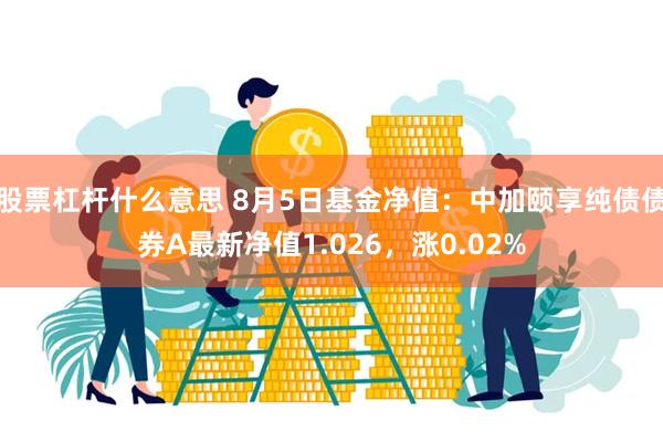 股票杠杆什么意思 8月5日基金净值：中加颐享纯债债券A最新净值1.026，涨0.02%