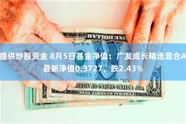 提供炒股资金 8月5日基金净值：广发成长精选混合A最新净值0.3727，跌2.43%