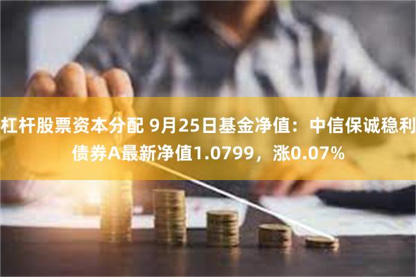 杠杆股票资本分配 9月25日基金净值：中信保诚稳利债券A最新净值1.0799，涨0.07%