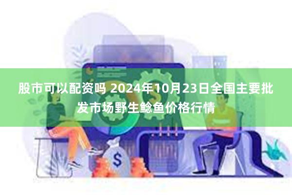 股市可以配资吗 2024年10月23日全国主要批发市场野生鲶鱼价格行情