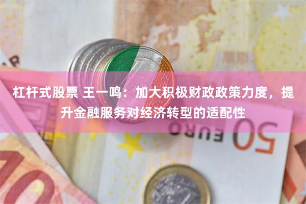 杠杆式股票 王一鸣：加大积极财政政策力度，提升金融服务对经济转型的适配性