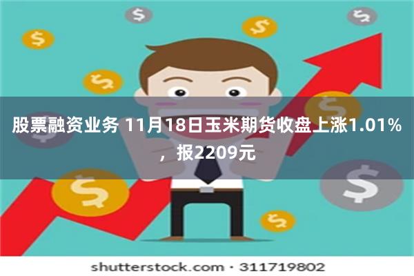 股票融资业务 11月18日玉米期货收盘上涨1.01%，报2209元