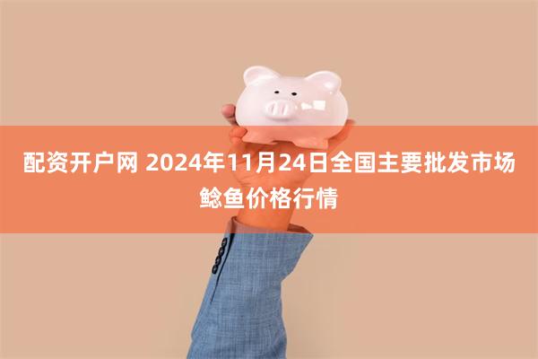 配资开户网 2024年11月24日全国主要批发市场鲶鱼价格行情